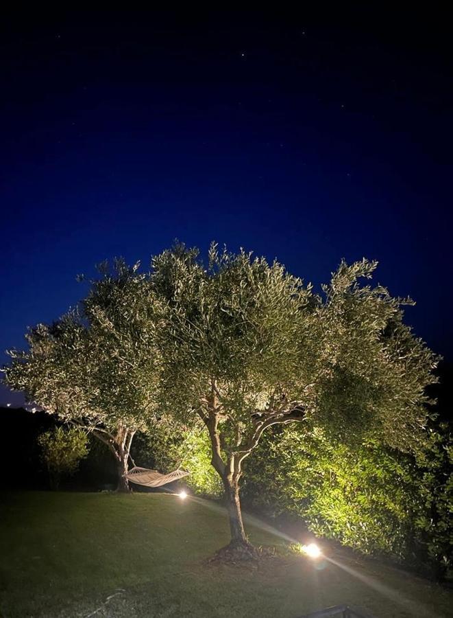 Villa Aurelia San Teodoro  Εξωτερικό φωτογραφία
